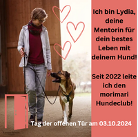 Screenshot 2024-09-13 at 11-04-01 Tag der offenen T&uuml;r &ndash; Instagram Post &ndash; Canva