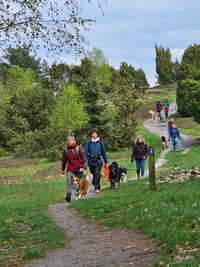 L&uuml;neburger Heide Fr&uuml;hling 2024