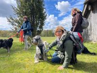 L&uuml;neburger Heide Fr&uuml;hling 2024